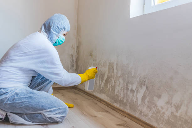 Hvac And Air Duct Mold Remediation inspection of HVAC system in White Stone